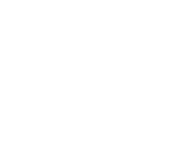 Axiomatic diagram of the Blok - angle 8