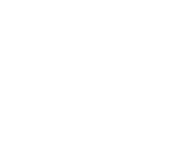 Axiomatic diagram of the Blok - angle 1