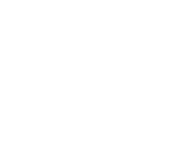 Axiomatic diagram of the Blok - angle 2